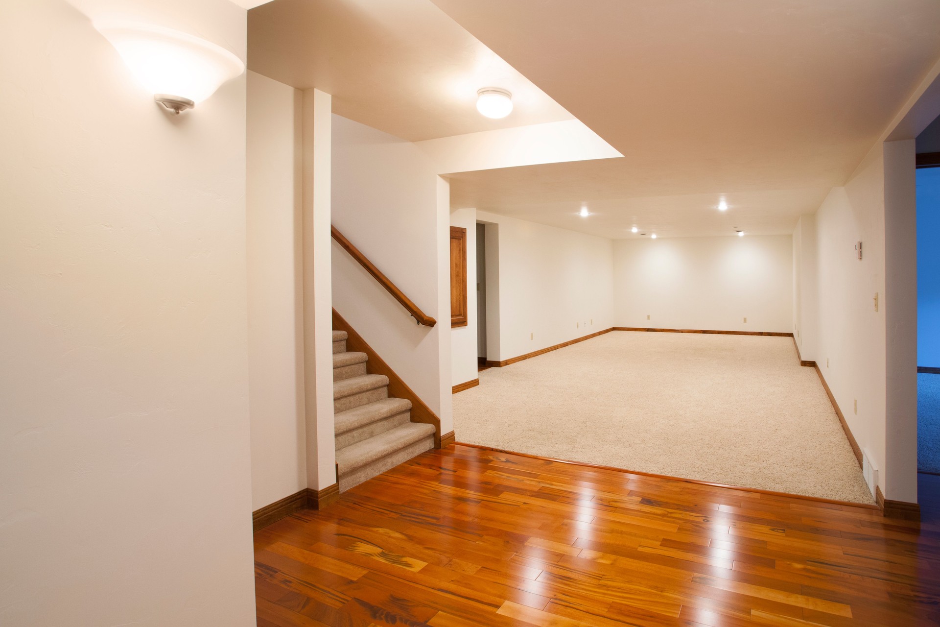 Spacious Finished Basement with Carpet and Hardwood Floors